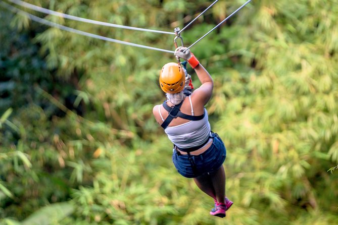 Jeep & Zip Safari St. Lucia From Castries - Who This Tour Suits Best (and Who Should Skip It)