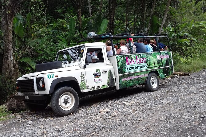 Jeep & Zipline Adventure in St. Lucia - A Jeep and Zipline Day That Feels Like St. Lucia, Not a Checklist