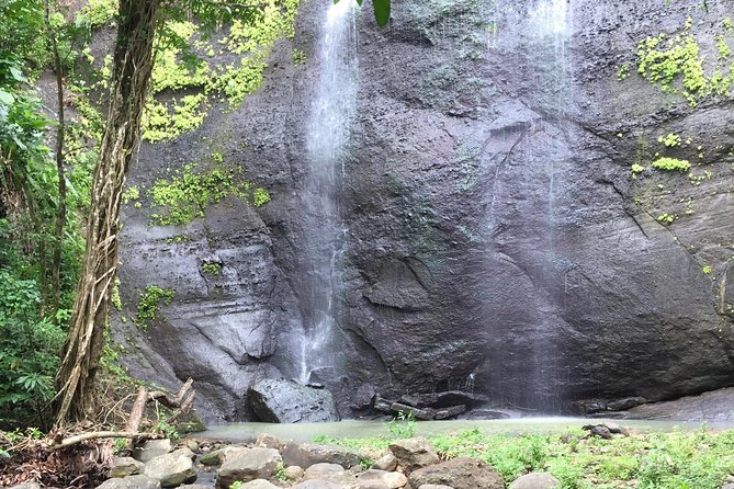 Jeep & Zipline Adventure in St. Lucia - Gearing Up in the Rainforest: Ziplines Over Trees and Streams