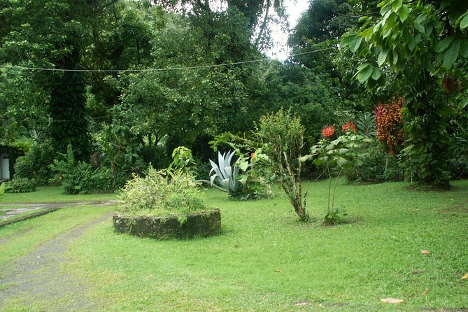 Magical Soufriere: A Tour of St Lucia - Diamond Falls and botanical gardens: your cooling-down reality check