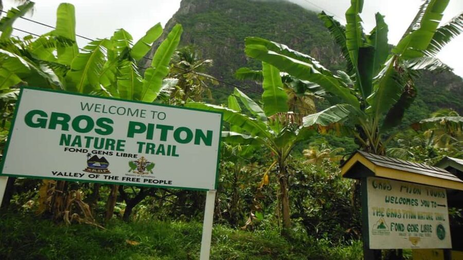 Majestic Gros Piton Hiking Day Trip - Getting to the Pitons: the scenic drive that sets expectations