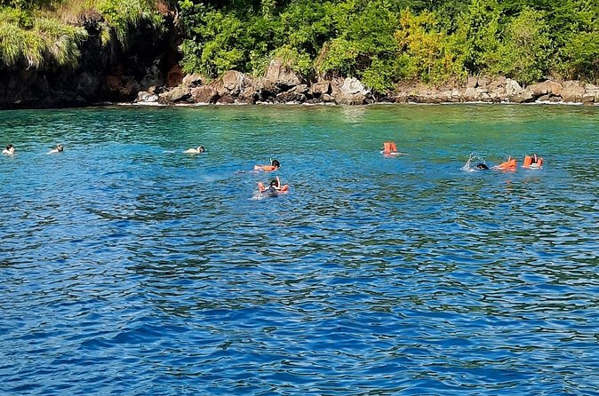 Mud bath and Waterfall with Snorkeling at Sugar beach - Stop 3: Sugar Beach (Jalousie Beach) snorkeling near the Pitons