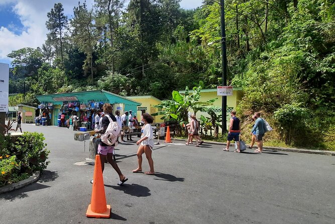 Mud bath and Waterfall with Snorkeling at Sugar beach - The ride: pickup, air-conditioning, and getting you to Soufriere efficiently