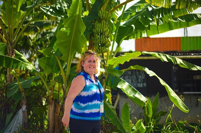 Mudbaths, Waterfall & Botanical Gardens Tour - All Inclusive - Stop 4: Toraille Waterfall, the Power Shower cooldown