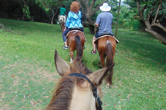 Nature & Historical Horseback Riding Tours St. Lucia - Practical packing and readiness: what to bring for comfort