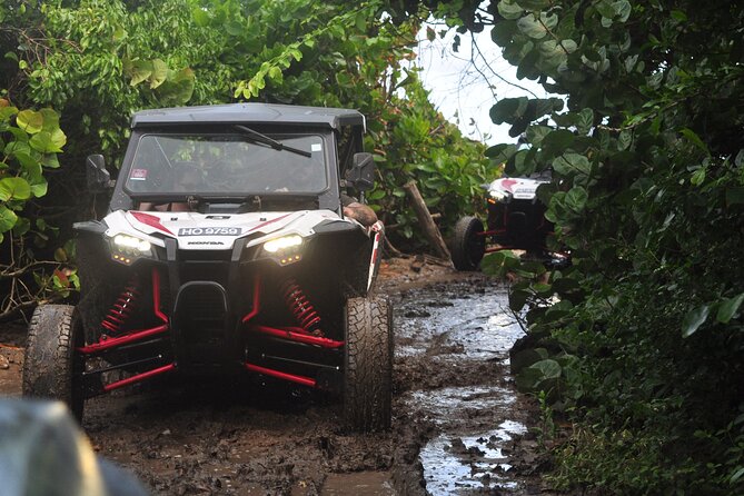 Northern Sights - Buggy in the North - Key Points You’ll Care About