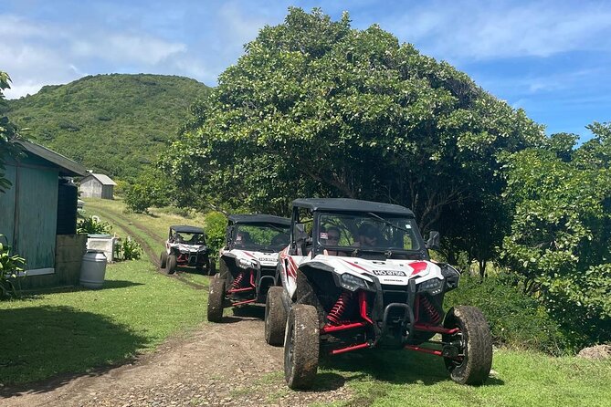 Northern Sights - Buggy in the North - Cas en Bas Beach and Pigeon Island: Stops for Contrast