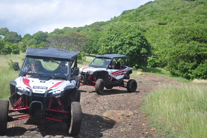 Northern Sights - Buggy in the North - Point Hardy and Monte Citron: Ocean Views That Pay Off