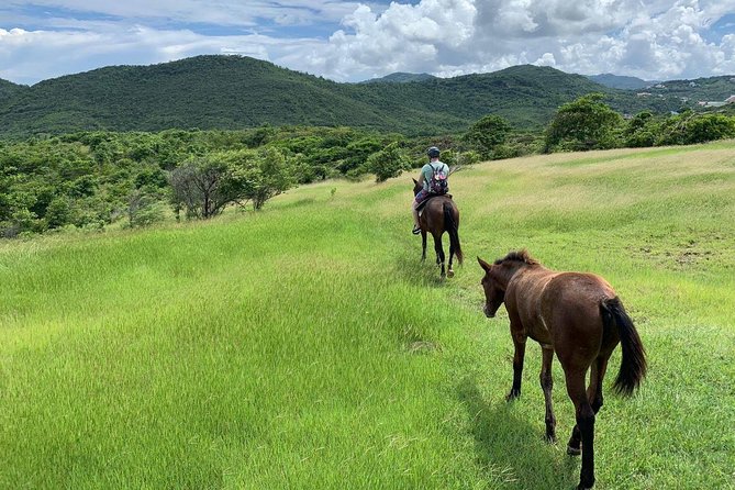 Private Advanced Horseback Beach Ride with Sandy Hoofs St. Lucia - Key things to know before you ride Sandy Hoofs