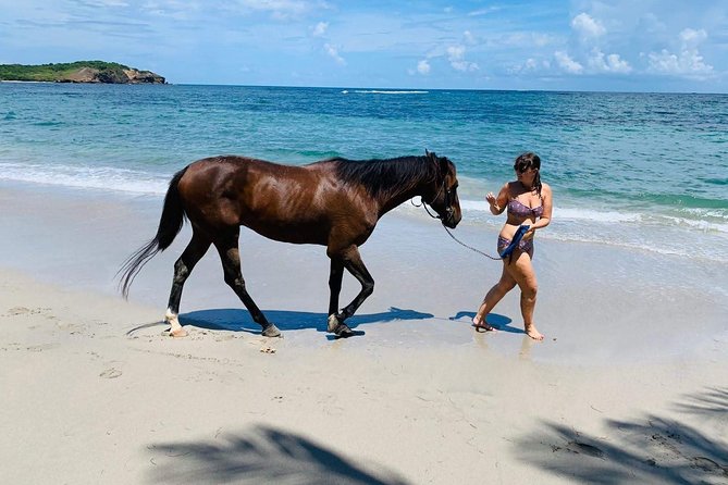 Private Advanced Horseback Beach Ride with Sandy Hoofs St. Lucia - Advanced rider rules, and why they matter on this ride