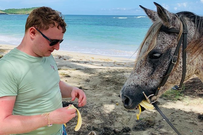 Private Advanced Horseback Beach Ride with Sandy Hoofs St. Lucia - Who should book this ride, and who should skip it