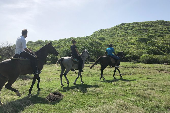 Private Advanced Horseback Beach Ride with Sandy Hoofs St. Lucia - Your 3-hour route: from orientation to canter along Lapin Bay