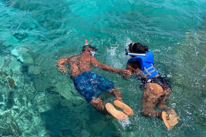 Private All-Inclusive Sea and Land Tour in St Lucia - Bat Cave and Millennium Highway, a fast finale with strong views