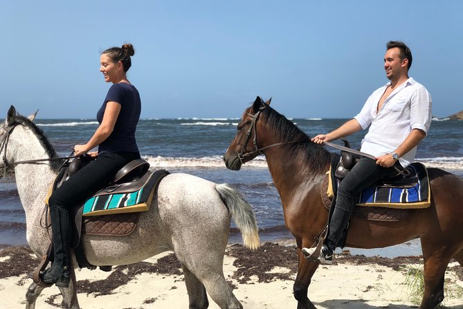 Private Beach Horseback Ride with Sandy Hoofs St. Lucia - Key things I’d circle before you book