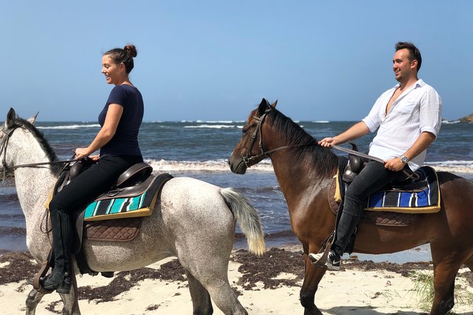 Private Beach Picnic Horseback Ride with Sandy Hoofs St. Lucia - Getting Oriented at Sandy Hoofs (and Why That Matters)