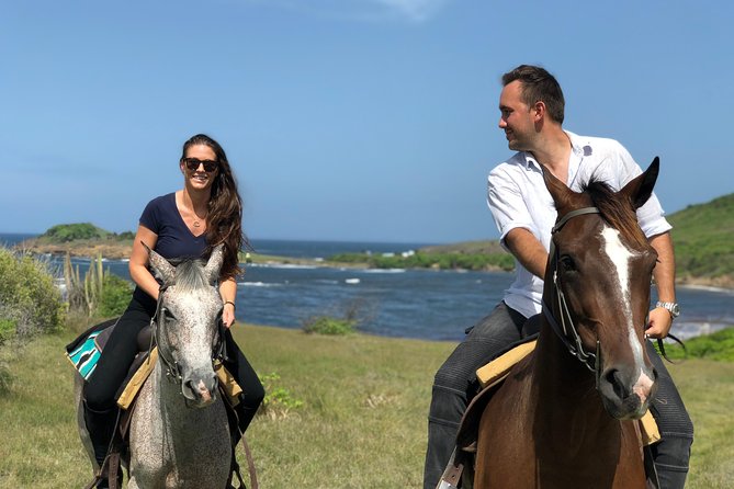 Private Beach Picnic Horseback Ride with Sandy Hoofs St. Lucia - Trail Pace and Terrain: What to Expect on the Ground