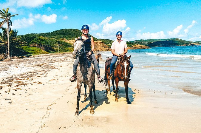 Private Beach Picnic Horseback Ride with Sandy Hoofs St. Lucia - The Picnic on the Beach: Included, Filling, and Actually Good