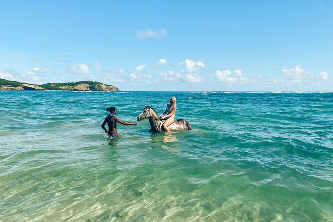Private Beach Picnic Horseback Ride with Sandy Hoofs St. Lucia - Horses, Care, and the Feeling You Get from the Stables