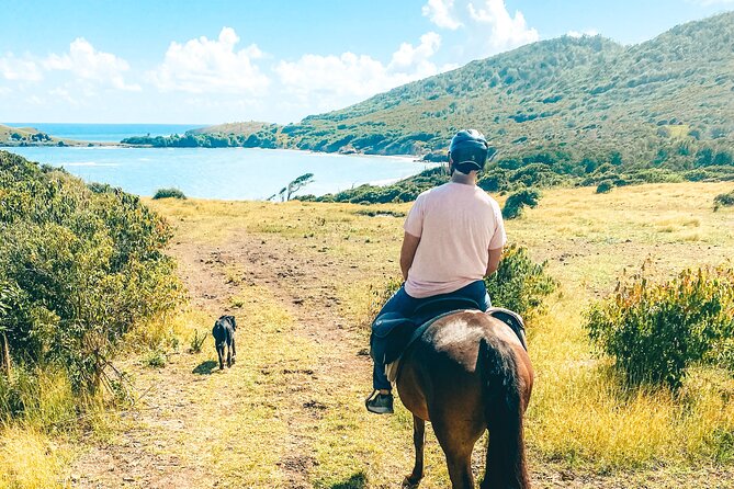 Private Beach Picnic Horseback Ride with Sandy Hoofs St. Lucia - Weather Reality: Rain or Sun, and How to Think About It