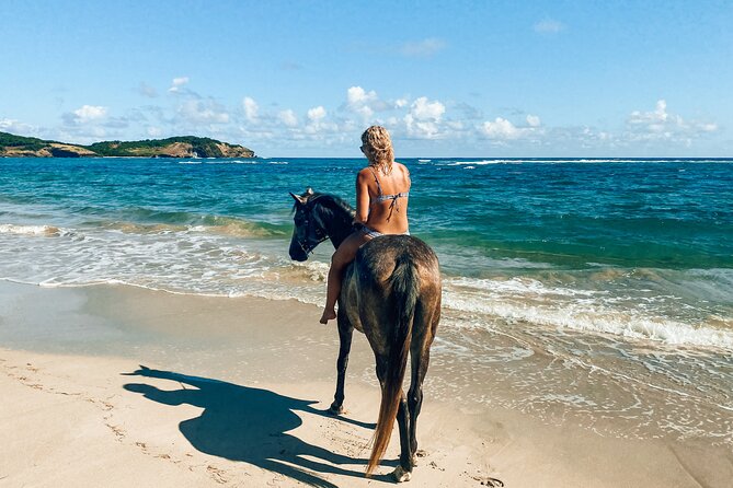 Private Beach Picnic Horseback Ride with Sandy Hoofs St. Lucia - The Scenic Ride Out: Atlantic Coast Views and Real Working Country
