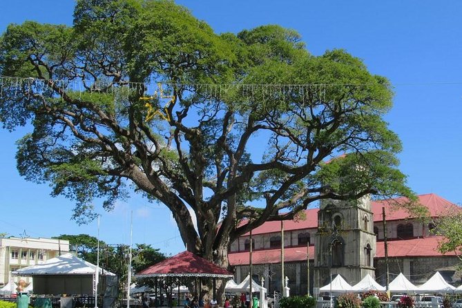 Private Castries or Shopping Tour/Transfers - Shopping spree mode, markets, souvenirs, and quick photo help