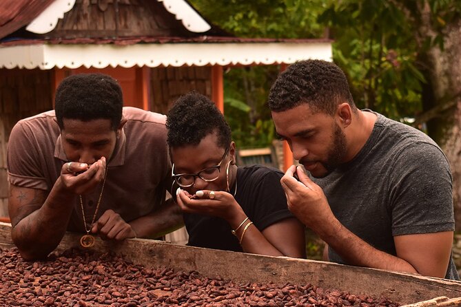 Private Chocolate Making Class - Key highlights you should know before you book