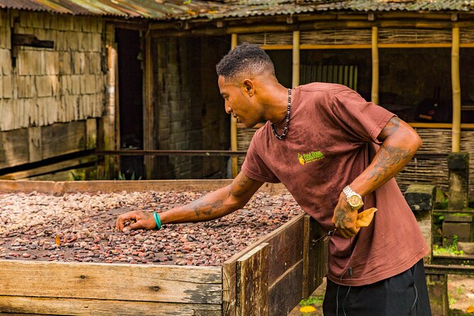 Private Chocolate Making Class - Price and Value: Is $50 Per Person Fair?