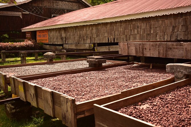 Private Chocolate Making Class - Weather Matters, and It Should