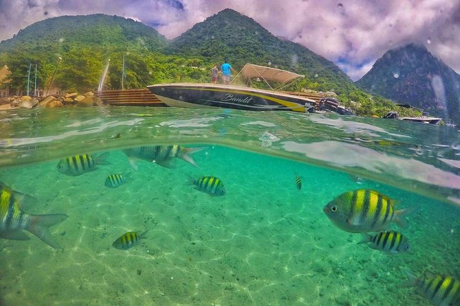 Private Custom Coastal Cruise St. Lucia Half Day - Price per group: is $860 worth it?