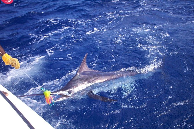 Private Fishing in St Lucia Charters - Key points before you go