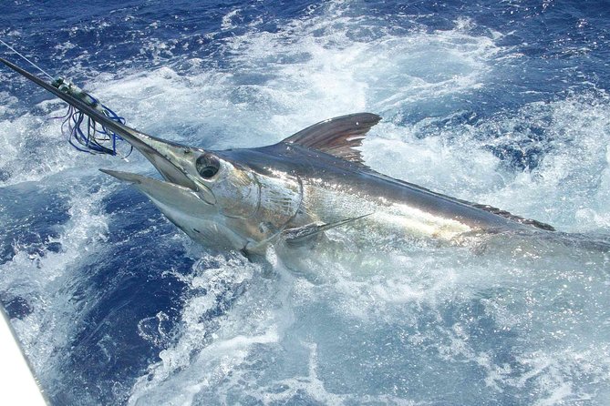 Private Fishing in St Lucia Charters - Private Fishing in St Lucia Charters: The real vibe