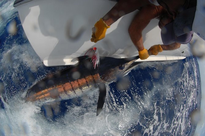 Private Fishing in St Lucia Charters - Price and value: $860 per group up to 4