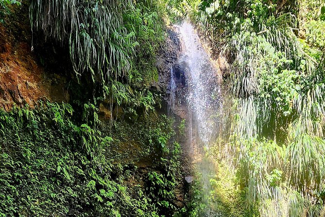 Private La Soufriere Drive-In Volcano Minibus Tour St Lucia - Who this tour suits best