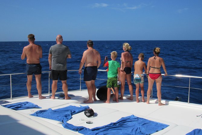 Private Luxury Catamaran Cruise in St. Lucia - Marine Reserve snorkeling: how to treat it for the best day