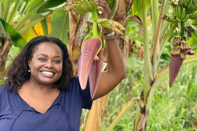Private Soufriere Experience Tour - Soufriere Bay and the Pitons: the view you came for