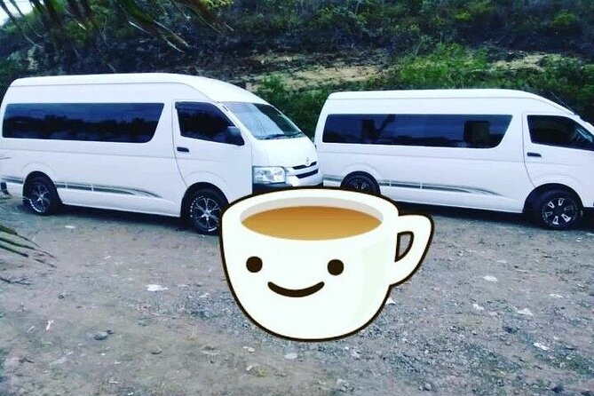 Private St Lucia Airport Transfer to Secrets St. Lucia Resort - From Airport Doors to Secrets St. Lucia: How the Pickup Works