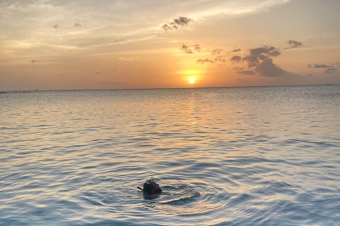 Private Sunset and Snorkel Cruise - Key highlights you should care about
