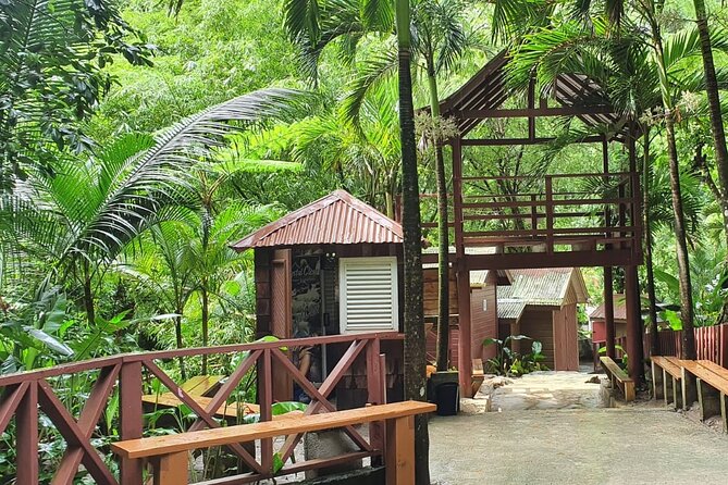 Private Tour of Sulphur Spring and Toraile Waterfall in Soufriere - Toraille Waterfall: cooling off in a tropical garden swimming pool