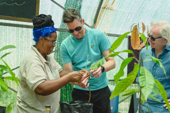 Project Chocolat Tree to Bar Tour at Hotel Chocolat Saint Lucia - Lunch in a cacao-forward menu, plus desserts and drinks