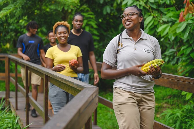 Project Chocolat Tree to Bar Tour at Hotel Chocolat Saint Lucia - Price and value: is $124 a fair deal?
