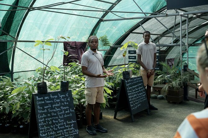 Project Chocolat Tree to Bar Tour at Hotel Chocolat Saint Lucia - FAQ