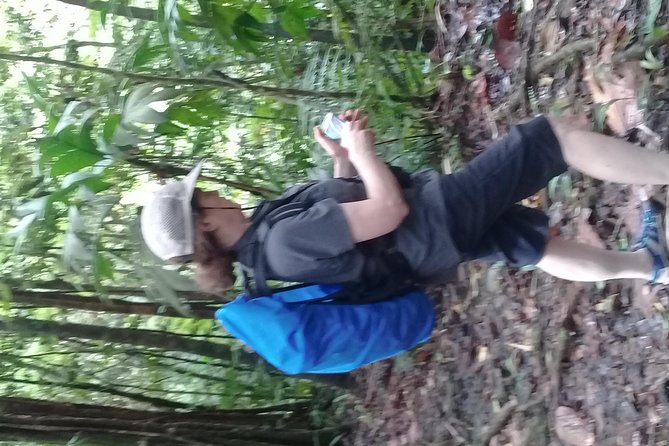 Rain forest and Bird watching - Waterfall dip or Marigot Bay: the cool-down break that matters