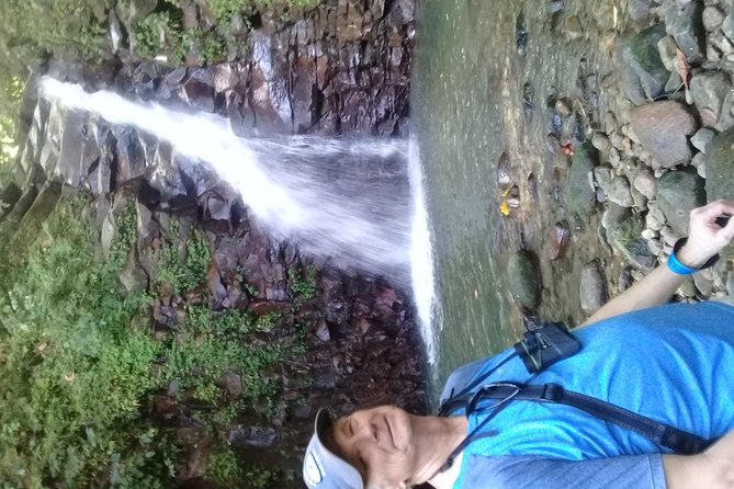 Rain forest and Bird watching - Who should book this tour, and who should skip it