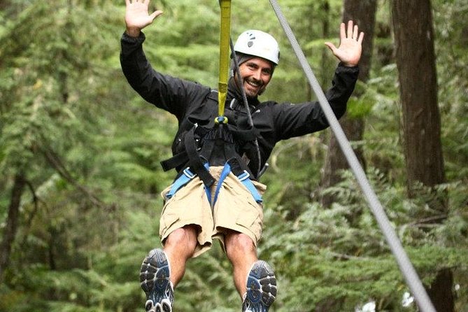 Rainforest Canopy Adventure from Vieux Fort or North Island, St Lucia - Key things to know before you zip