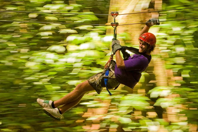 Rainforest Canopy Adventure from Vieux Fort or North Island, St Lucia - Price and value: is $105 a good deal?