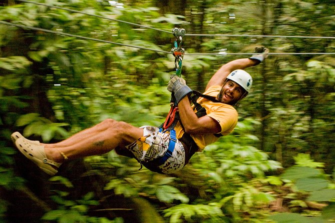 Rainforest Canopy Adventure from Vieux Fort or North Island, St Lucia - What the 500-foot canopy ride really feels like