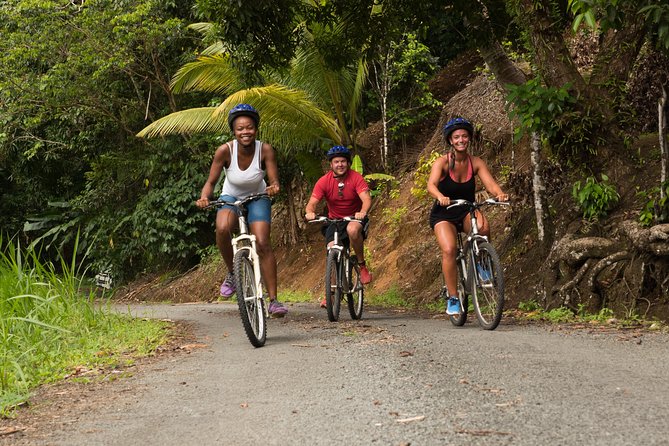 Rainforest Cycling Adventure in St. Lucia - Key Highlights You Will Feel on Day-of