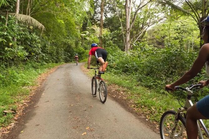 Rainforest Cycling Adventure in St. Lucia - Rain-forest trails through botanical gardens, river paths, and a bridge