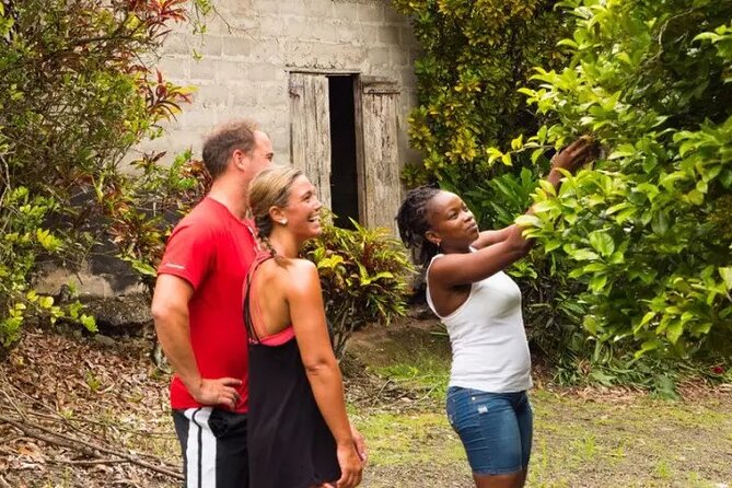 Rainforest Cycling Adventure in St. Lucia - The return ride, the photo stop, and what you get for your 2.5 hours