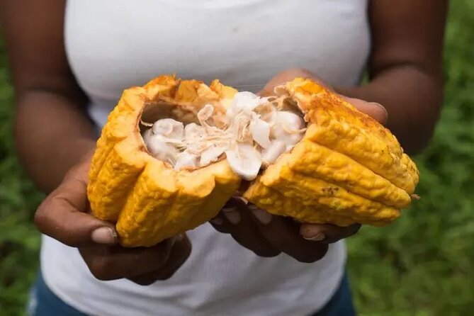 Rainforest Cycling Adventure in St. Lucia - Guide energy: the difference between cycling and cycling with stories
